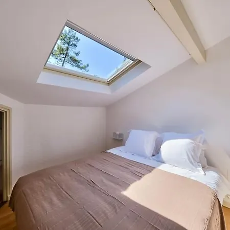 Apartment Nid De Line - Naou - Wifi-netflix *